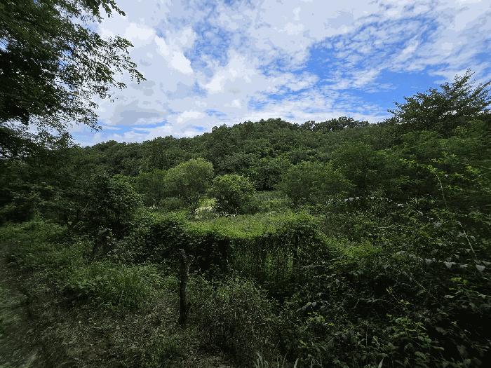 충남 천안시 서북구 신당동 전 경매 물건 사진 5 · 2025타경12149