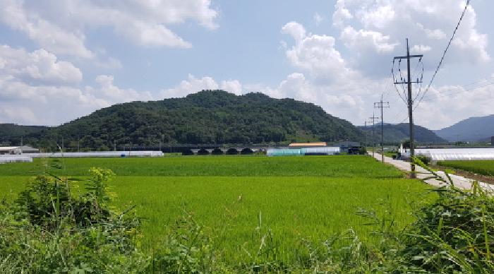 충남 천안시 동남구 풍세면 창고시설 경매 물건 사진 2 · 2025타경12200