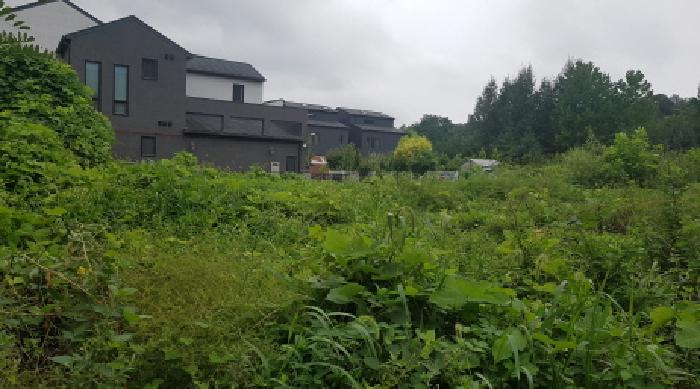 충남 천안시 서북구 불당동 대지 경매 물건 사진 3 · 2025타경12260