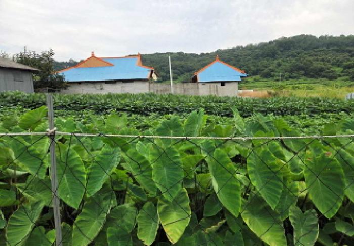 충남 아산시 염치읍 전답 경매 물건 사진