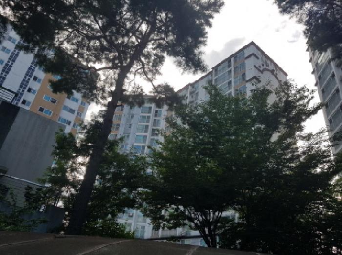 충남 천안시 동남구 다가동 아파트 경매 물건 사진 3 · 2025타경12304