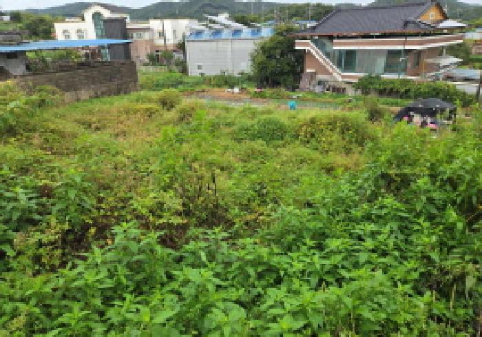 충남 아산시 염치읍 대지 경매 물건 사진 4 · 2025타경12355