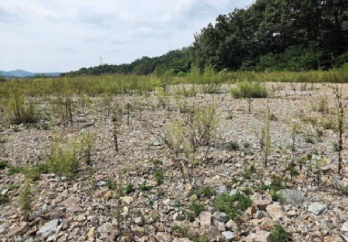 충남 아산시 도고면 임야 경매 물건 사진 5 · 2025타경12428