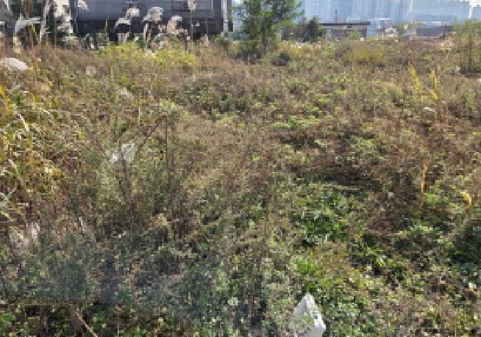 충남 아산시 둔포면 임야 경매 물건 사진 3 · 2025타경12538