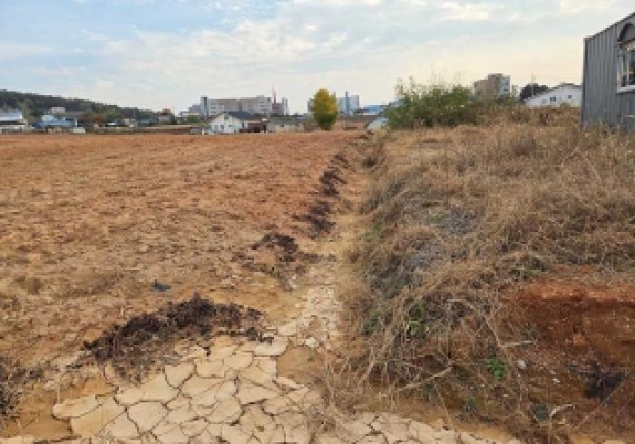 충남 천안시 서북구 성환읍 도로 경매 물건 사진 4 · 2025타경12614