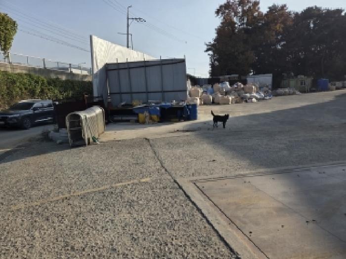 충남 아산시 둔포면 공장용지 경매 물건 사진 5 · 2025타경12634