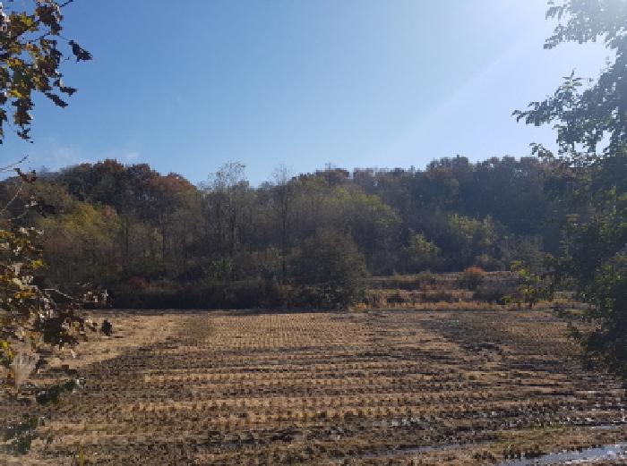 충남 천안시 동남구 수신면 전 경매 물건 사진