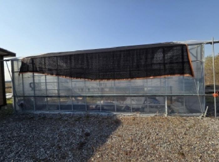 충남 천안시 동남구 성남면 전답 경매 물건 사진 3 · 2025타경12670