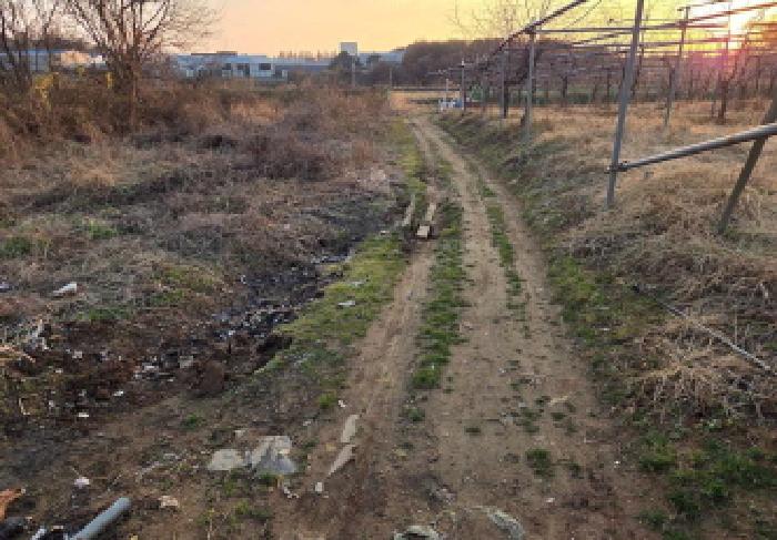 충남 천안시 서북구 성거읍 과수원 경매 물건 사진 3 · 2025타경12703