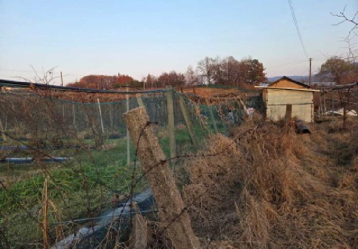 충남 천안시 서북구 성거읍 과수원 경매 물건 사진 5 · 2025타경12703