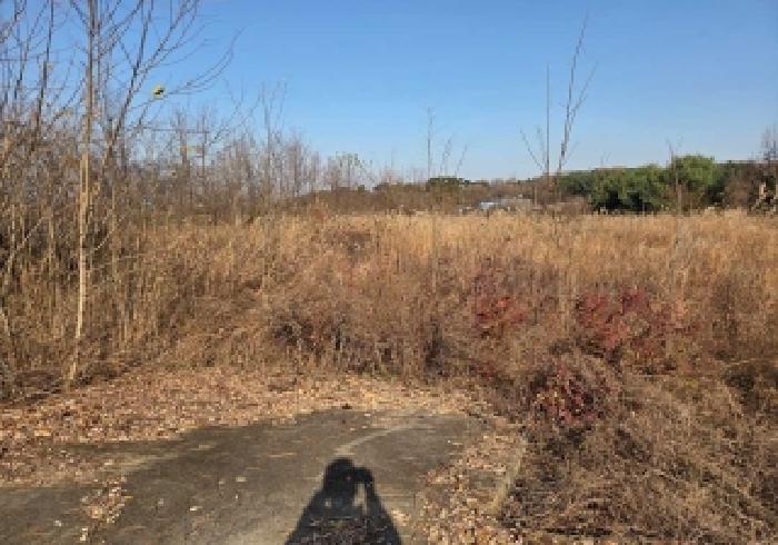 충남 아산시 선장면 전 경매 물건 사진 5 · 2025타경12718