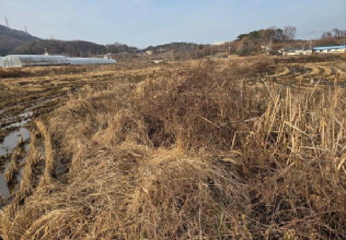 충남 아산시 배방읍 답 경매 물건 사진 2 · 2025타경12805