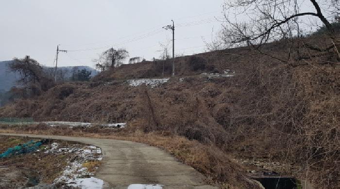 충남 천안시 동남구 병천면 도로 경매 물건 사진 2 · 2025타경12816