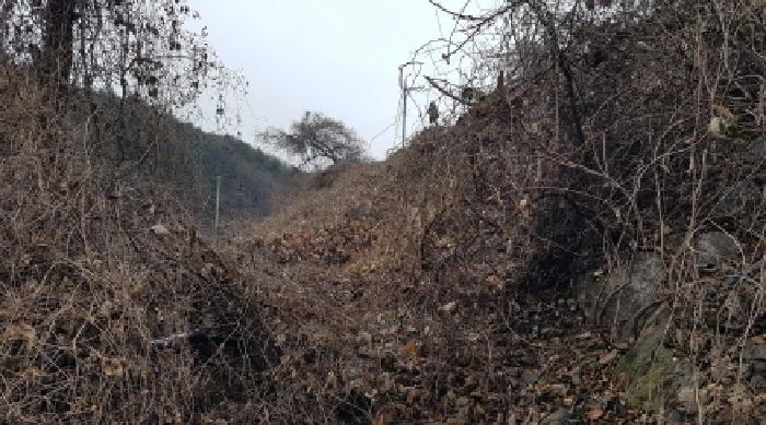충남 천안시 동남구 병천면 도로 경매 물건 사진 3 · 2025타경12816