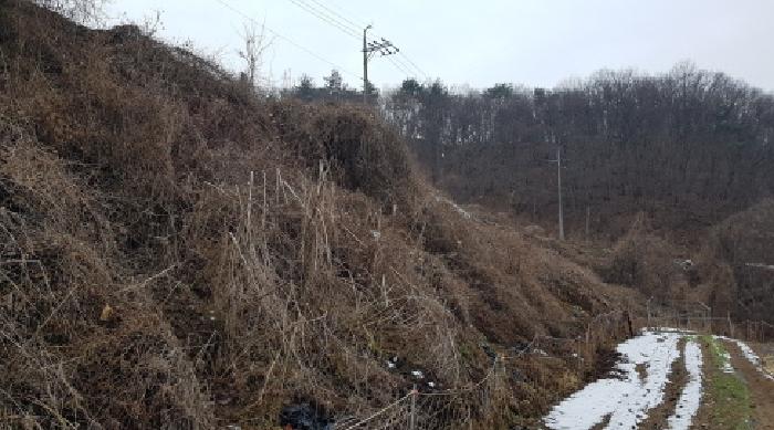 충남 천안시 동남구 병천면 도로 경매 물건 사진 4 · 2025타경12816