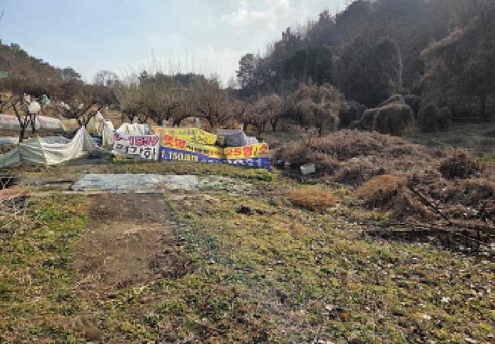 충남 아산시 신창면 임야 경매 물건 사진 3 · 2025타경12846