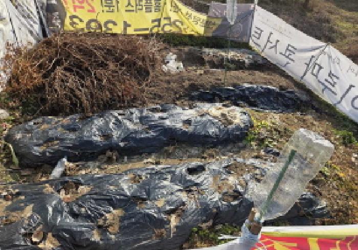 충남 아산시 신창면 임야 경매 물건 사진 5 · 2025타경12846