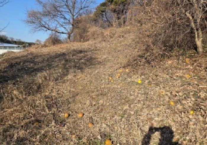 충남 아산시 인주면 전답 경매 물건 사진