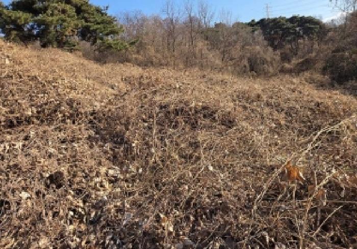 충남 아산시 인주면 전답 경매 물건 사진 2 · 2025타경12878