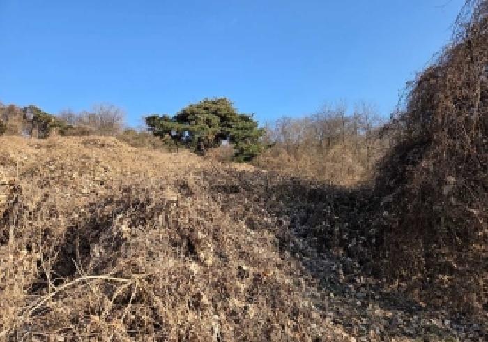 충남 아산시 인주면 전답 경매 물건 사진 5 · 2025타경12878
