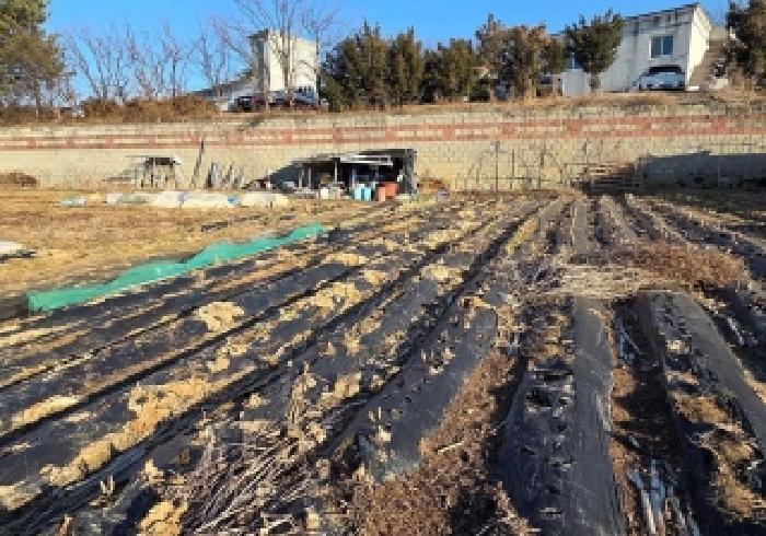 충남 천안시 서북구 성거읍 단독주택 경매 물건 사진 3 · 2025타경12908