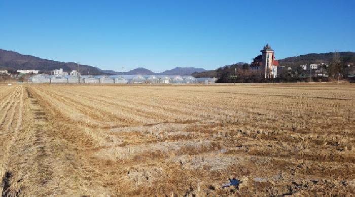 충남 천안시 동남구 목천읍 답 경매 물건 사진