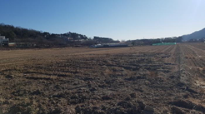 충남 천안시 동남구 목천읍 답 경매 물건 사진 4 · 2025타경12909