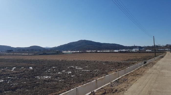 충남 천안시 동남구 목천읍 답 경매 물건 사진 5 · 2025타경12909