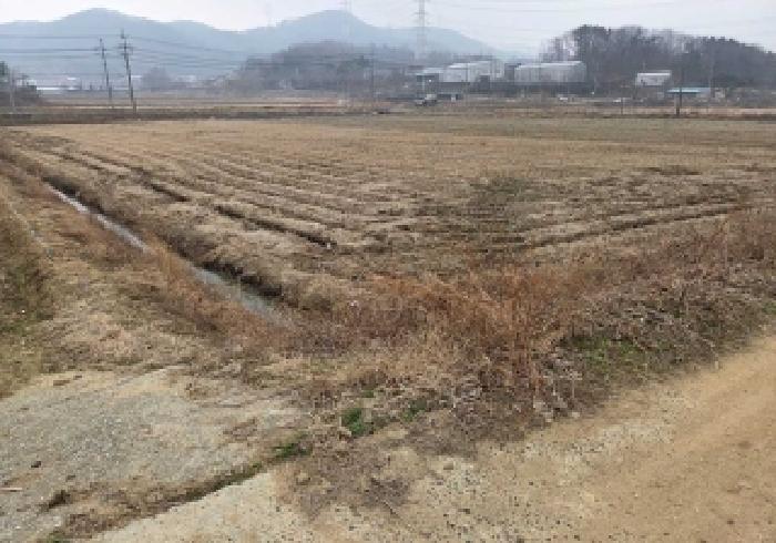 충남 아산시 영인면 답 경매 물건 사진 6 · 2025타경12978