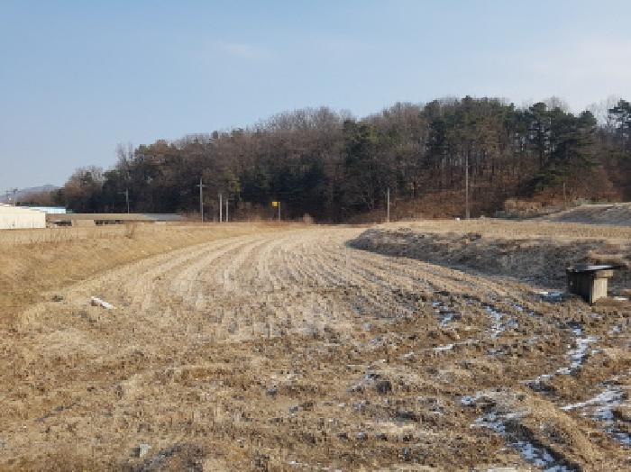충남 천안시 동남구 목천읍 전답 경매 물건 사진 2 · 2025타경12980