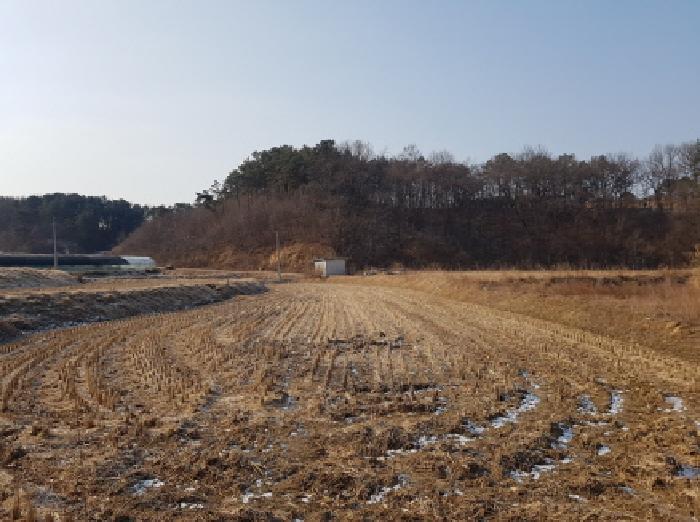 충남 천안시 동남구 목천읍 전답 경매 물건 사진 3 · 2025타경12980