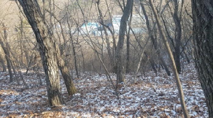 충남 천안시 동남구 광덕면 임야 경매 물건 사진 6 · 2025타경12981