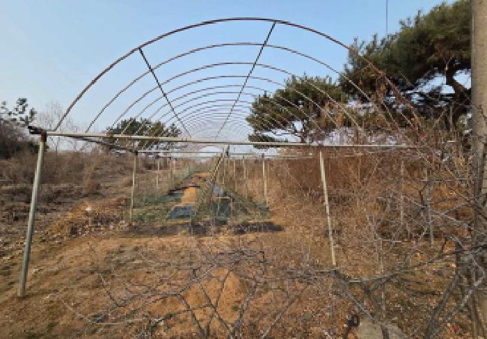 충남 천안시 서북구 성거읍 전답 경매 물건 사진 5 · 2025타경12984