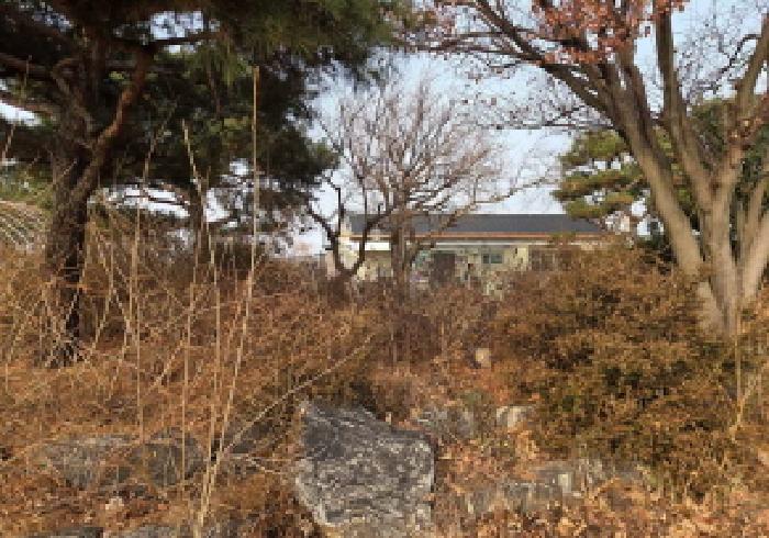 충남 천안시 서북구 성거읍 전답 경매 물건 사진 6 · 2025타경12984
