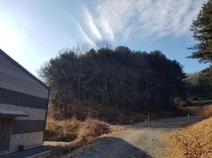 충남 천안시 동남구 목천읍 임야 경매 물건 사진