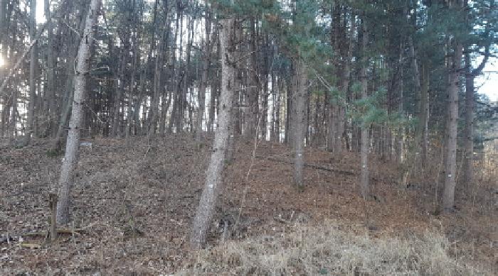 충남 천안시 동남구 목천읍 임야 경매 물건 사진 3 · 2025타경12991