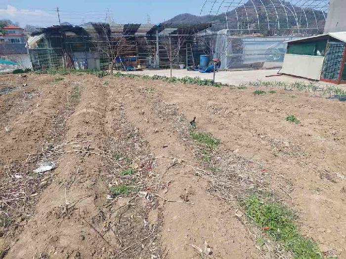충남 아산시 음봉면 전답 경매 물건 사진 2 · 2025타경430