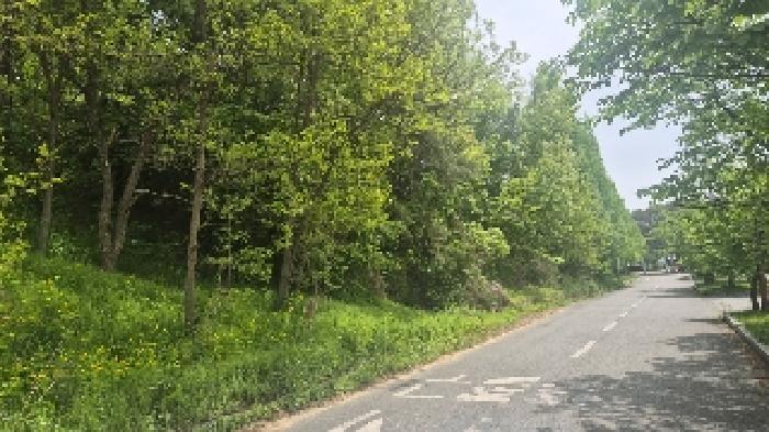 충남 천안시 동남구 수신면 임야 경매 물건 사진 6 · 2025타경466