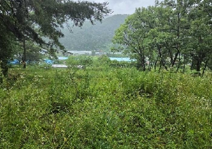 충남 아산시 송악면 임야 경매 물건 사진 4 · 2025타경607