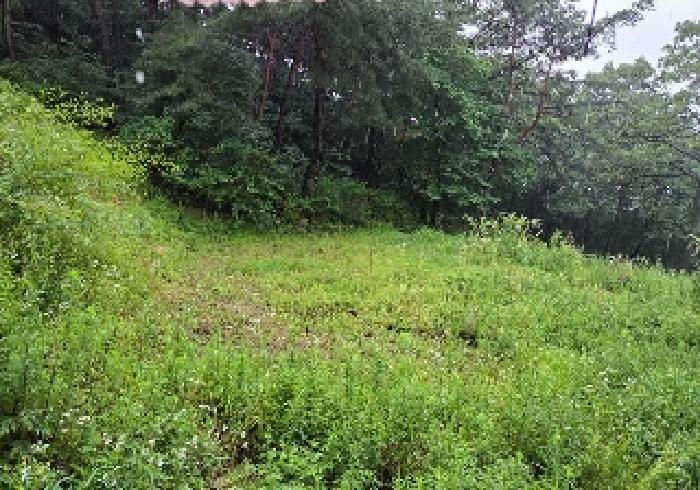 충남 아산시 송악면 임야 경매 물건 사진 5 · 2025타경607