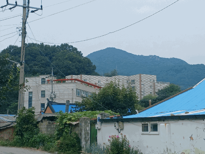 충남 아산시 영인면 오피스텔 경매 물건 사진 5 · 2025타경618