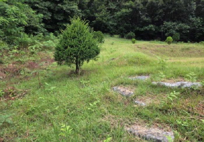 충남 아산시 음봉면 임야 경매 물건 사진 6 · 2025타경629