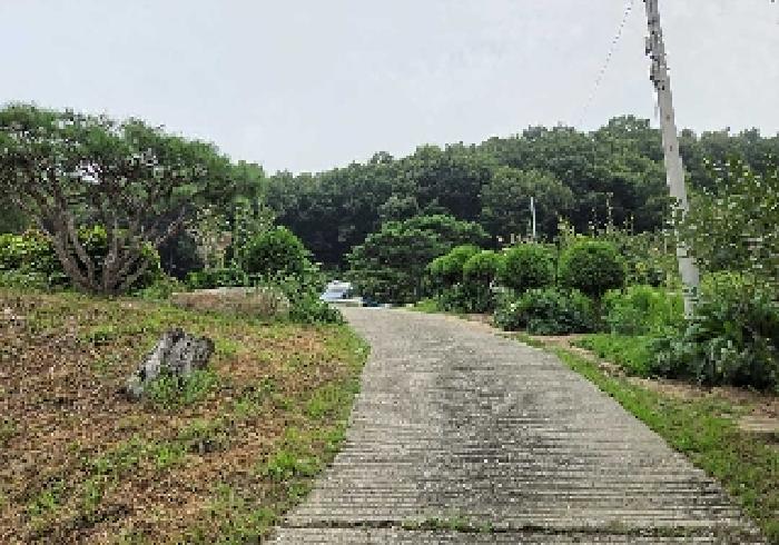 충남 아산시 음봉면 임야 경매 물건 사진 3 · 2025타경629
