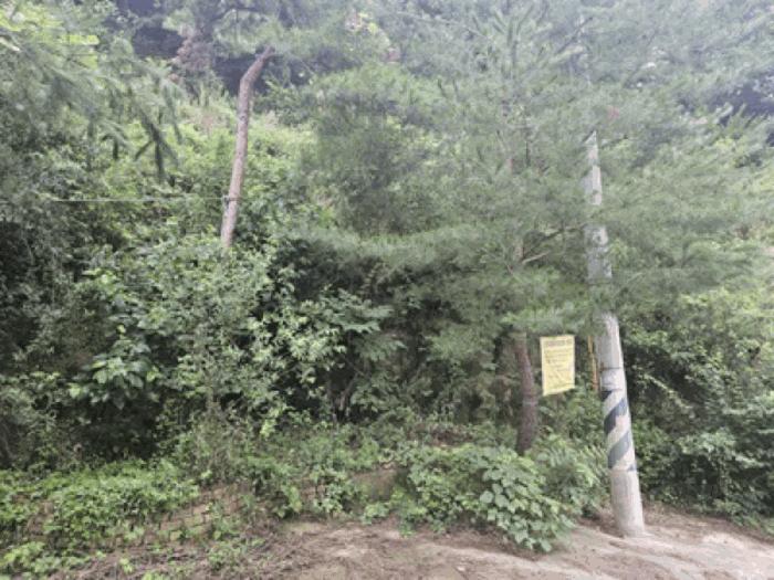 충남 천안시 동남구 북면 임야 경매 물건 사진 4 · 2025타경640