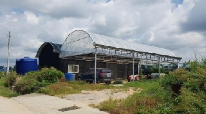 충남 천안시 서북구 입장면 과수원 경매 물건 사진 4 · 2025타경647
