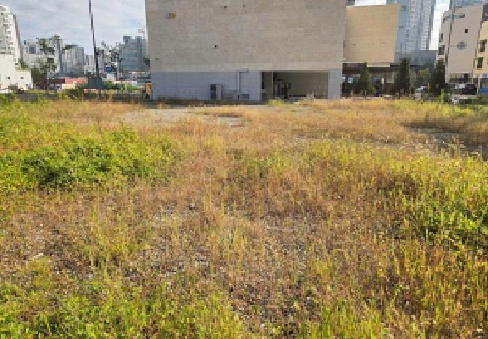 충남 아산시 배방읍 대지 경매 물건 사진 5 · 2025타경747