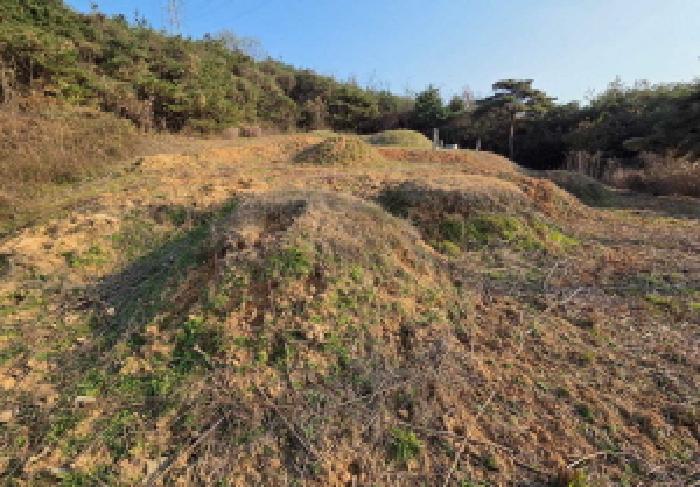 충남 아산시 신창면 답 경매 물건 사진
