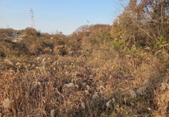 충남 아산시 신창면 답 경매 물건 사진 2 · 2025타경755