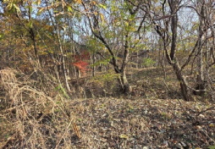 충남 아산시 신창면 답 경매 물건 사진 4 · 2025타경755
