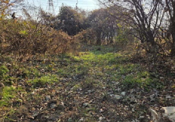 충남 아산시 신창면 답 경매 물건 사진 5 · 2025타경755